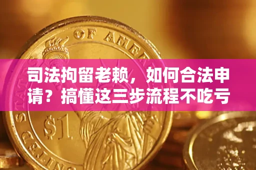 北京司法拘留老赖，如何合法申请？搞懂这三步流程不吃亏！