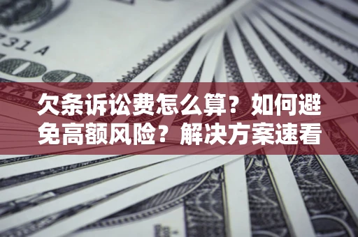 北京欠条诉讼费怎么算？如何避免高额风险？解决方案速看！