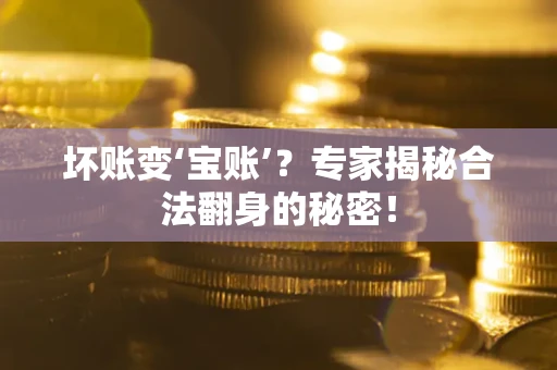 北京坏账变‘宝账’？专家揭秘合法翻身的秘密！