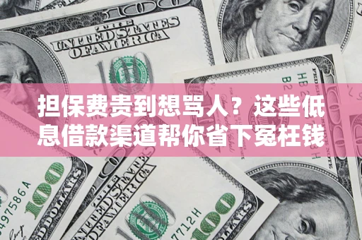 北京担保费贵到想骂人？这些低息借款渠道帮你省下冤枉钱