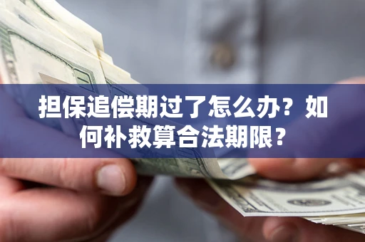 北京担保追偿期过了怎么办？如何补救算合法期限？